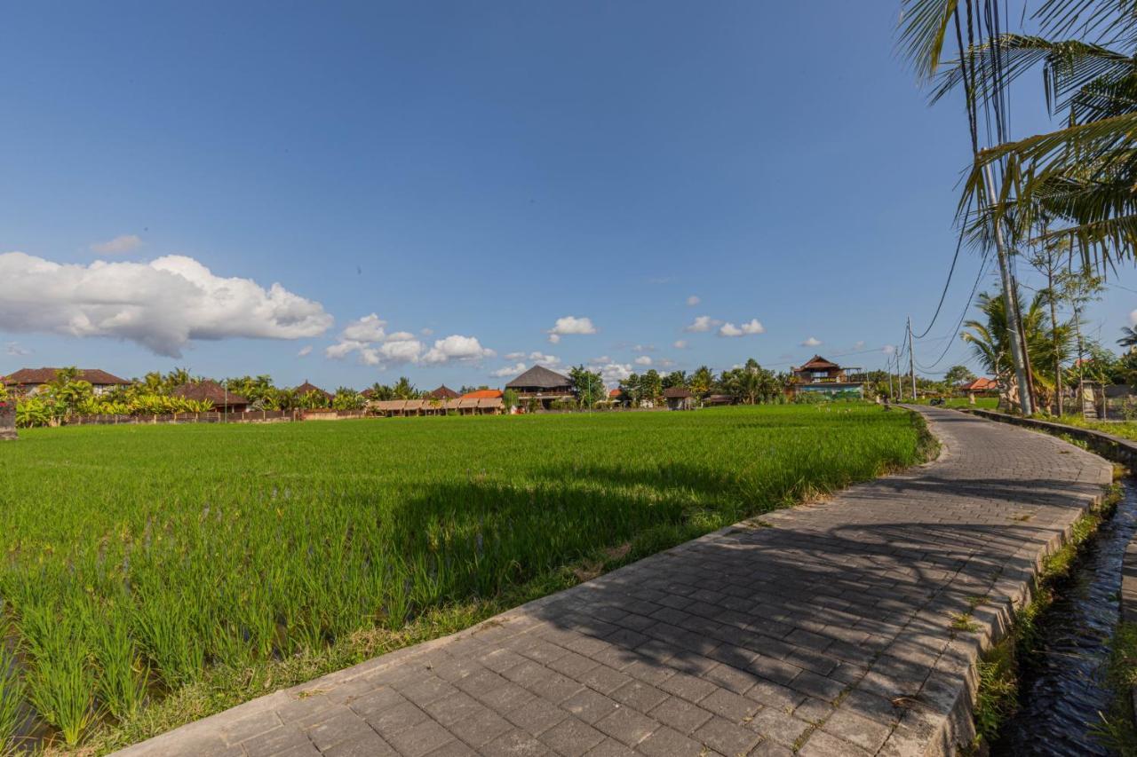 Niluh Private Villas Ubud Kültér fotó