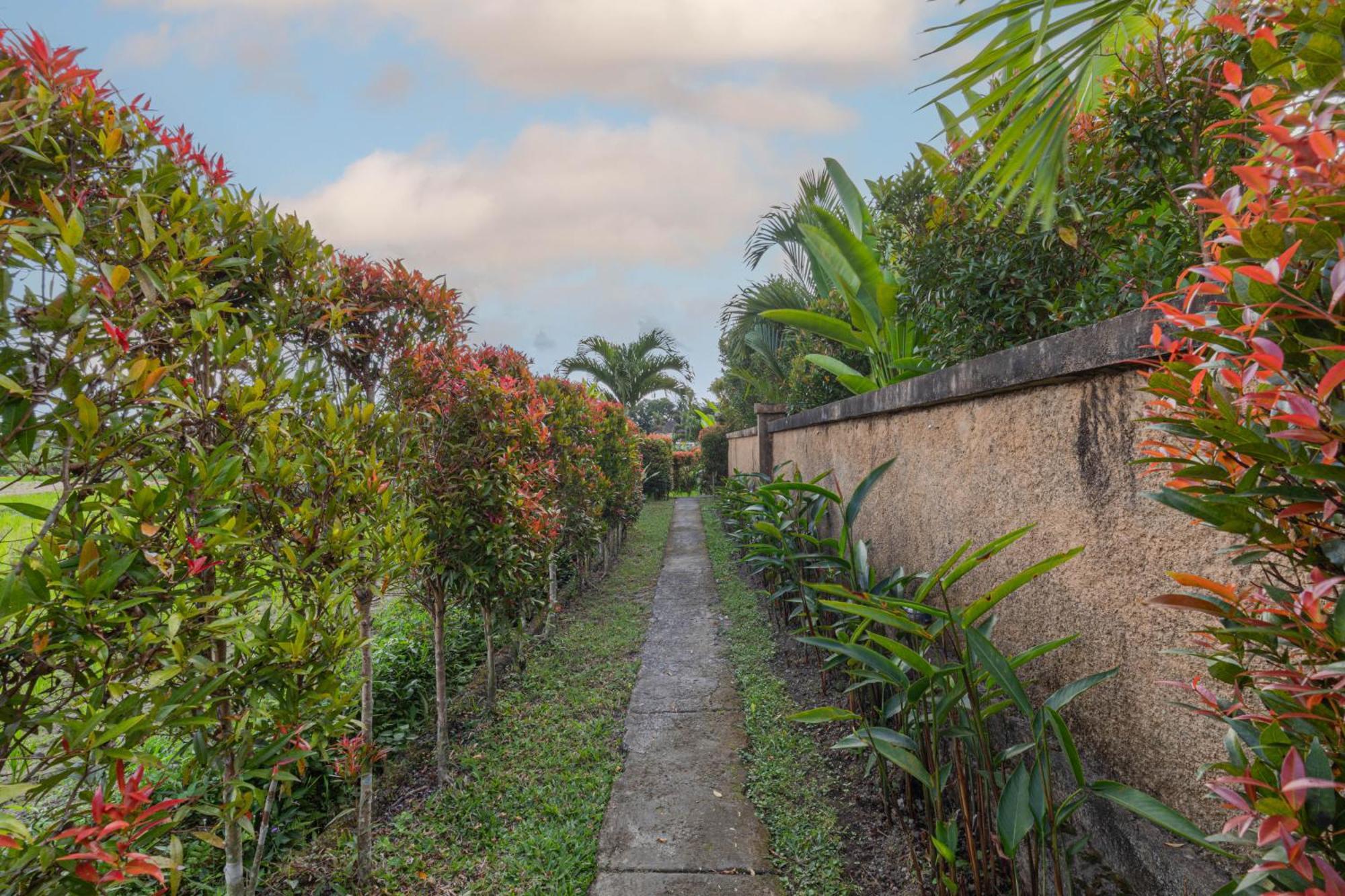 Niluh Private Villas Ubud Kültér fotó