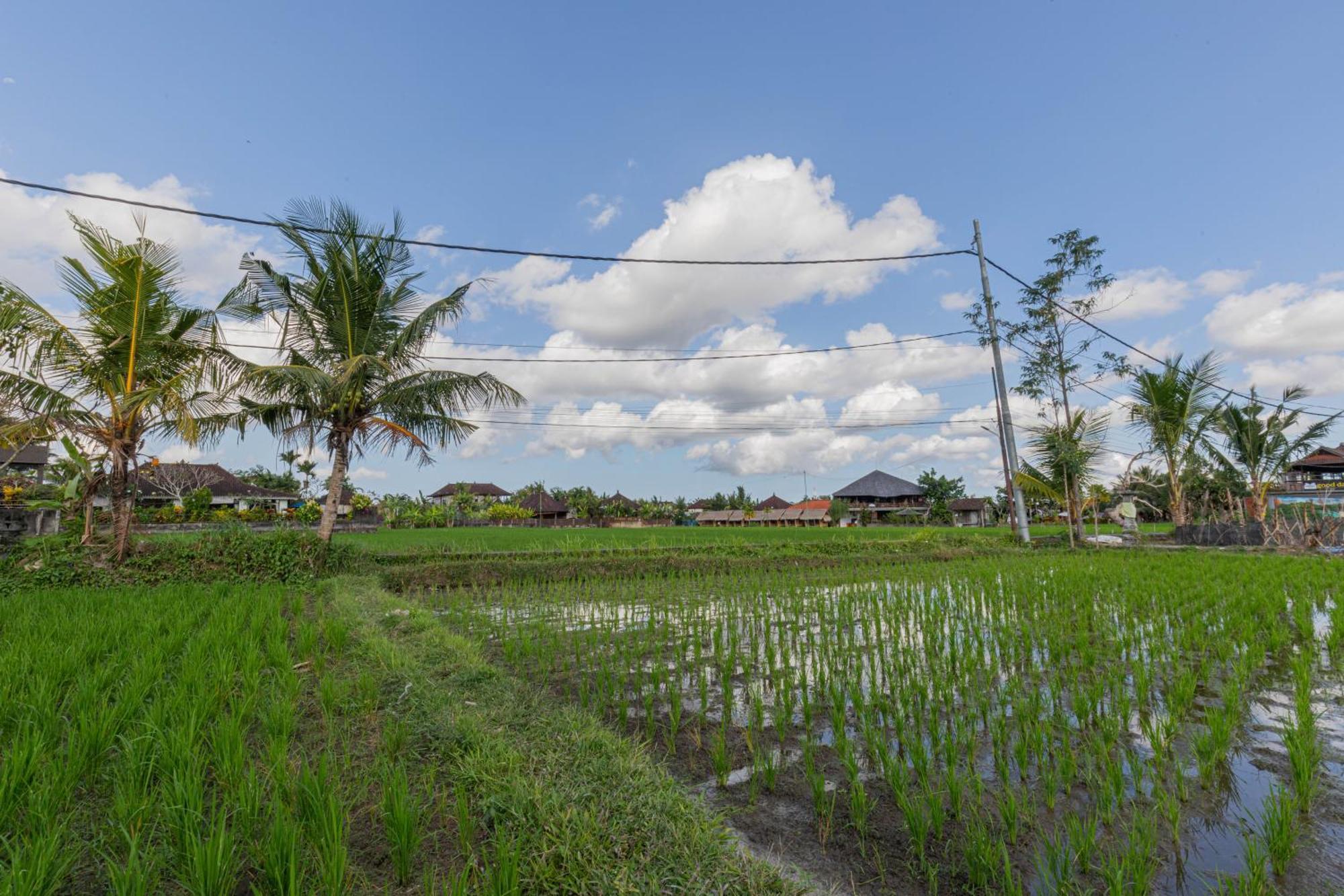Niluh Private Villas Ubud Kültér fotó